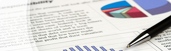 Image du Rapport du vérificateur général